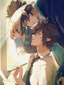 深入了解 蓝鸟在线导航